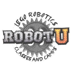 2025 Virtual summer camps